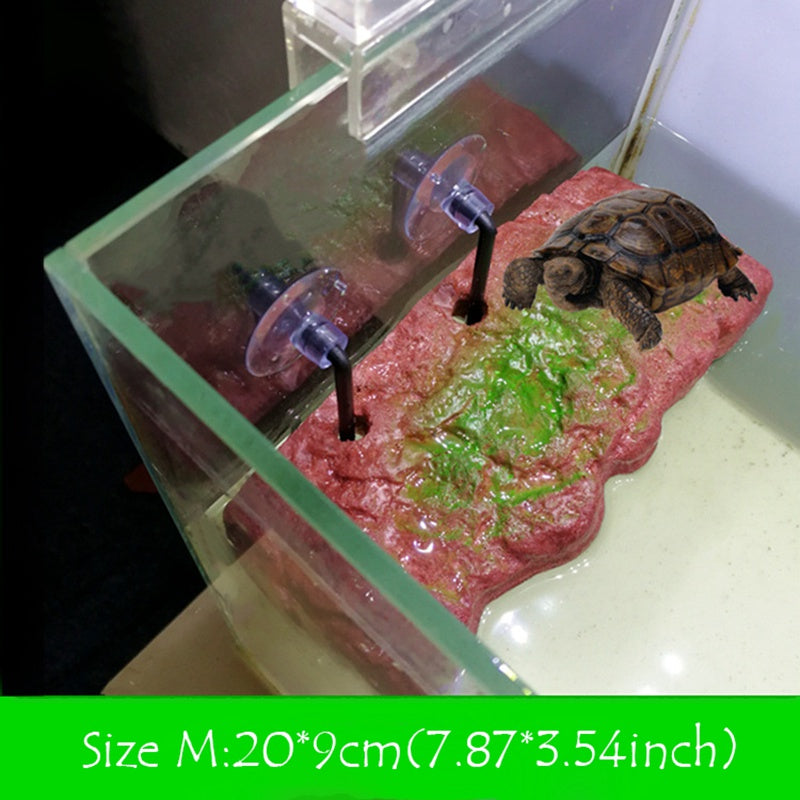 Plataforma para tortugas