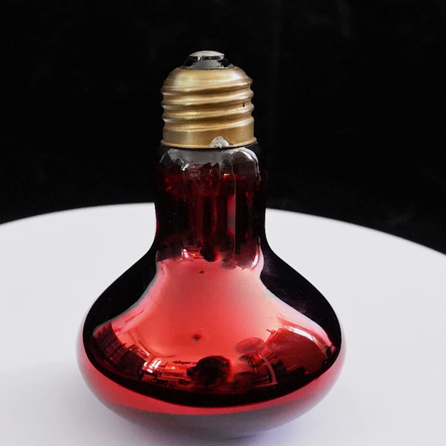 Lámpara Calefactora para Reptiles 50W